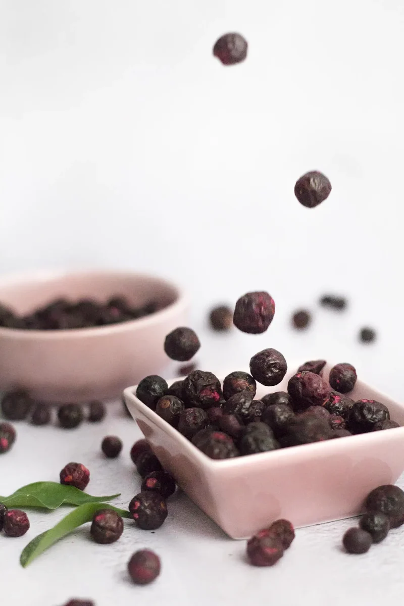 gefriergetrocknet-schwarze-johannisbeere