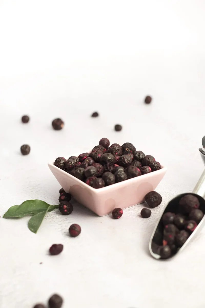 gefriergetrocknet-schwarze-johannisbeere-ganz-schweiz