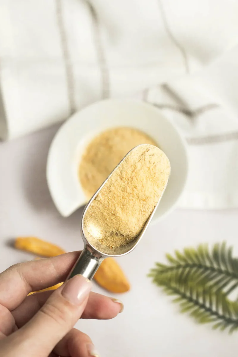 Gefriergetrocknete Aprikose | Pulver | 100g