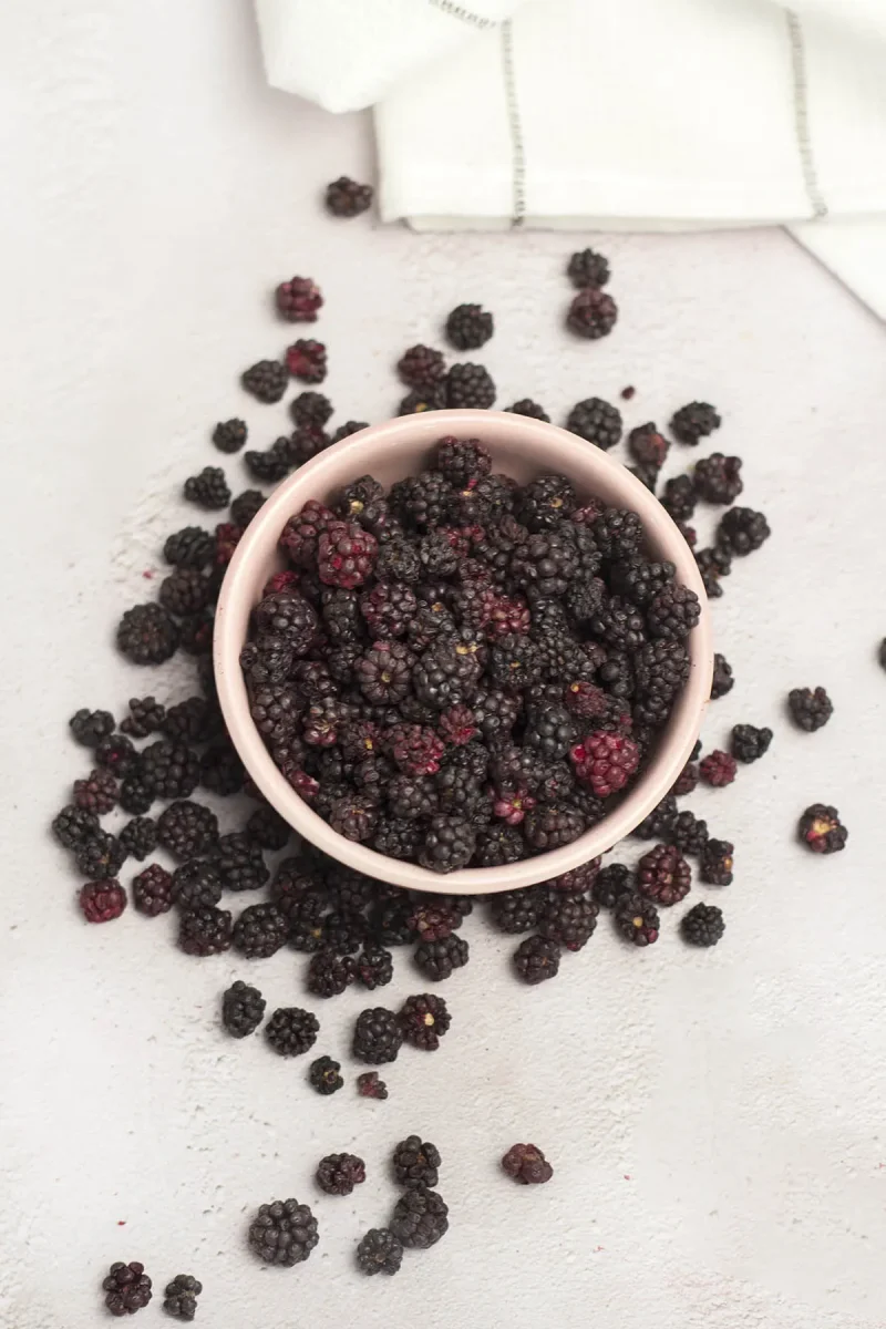 gefriergetrocknete-brombeere-ganz-kaufen-schweiz